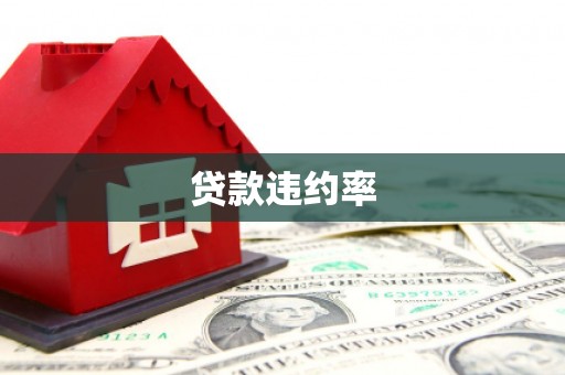 娄星贷款违约率