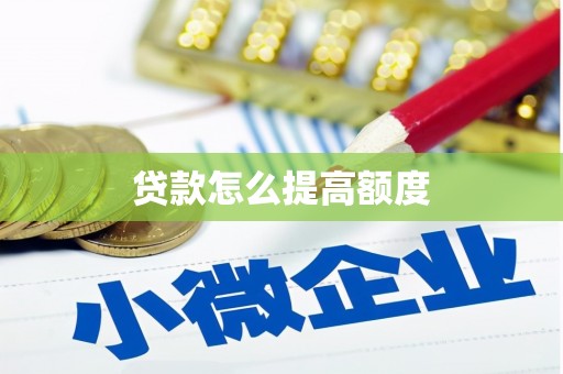 娄星贷款怎么提高额度