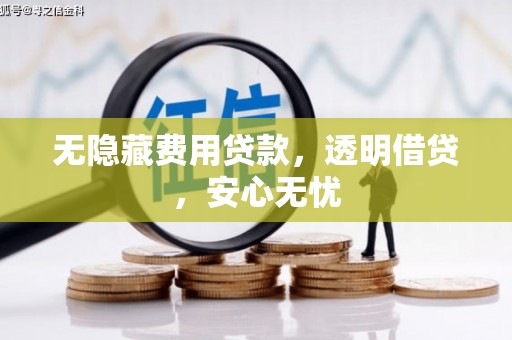 娄星无隐藏费用贷款，透明借贷，安心无忧