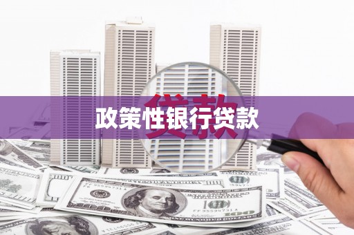 娄星政策性银行贷款