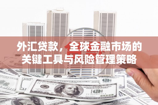 娄星外汇贷款，全球金融市场的关键工具与风险管理策略
