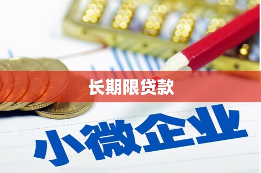 娄星长期限贷款