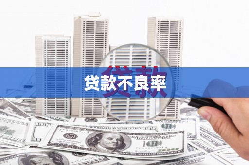娄星贷款不良率