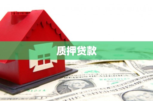 娄星质押贷款