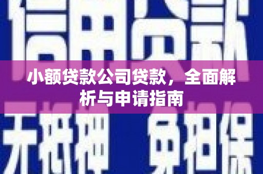 娄星小额贷款公司贷款，全面解析与申请指南