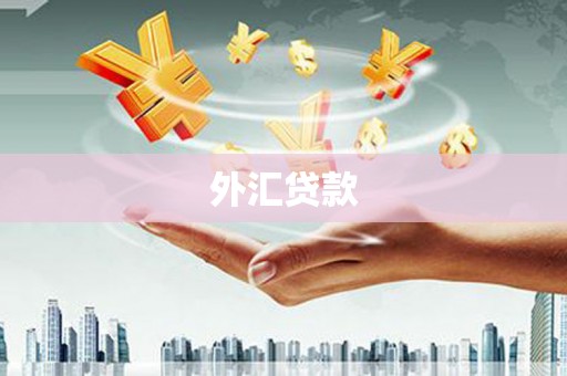 娄星外汇贷款