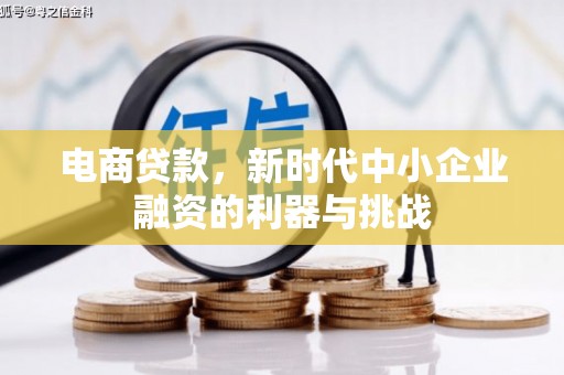 娄星电商贷款，新时代中小企业融资的利器与挑战