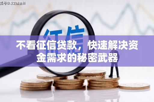 娄星不看征信贷款，快速解决资金需求的秘密武器
