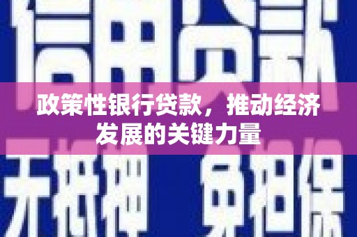 娄星政策性银行贷款，推动经济发展的关键力量