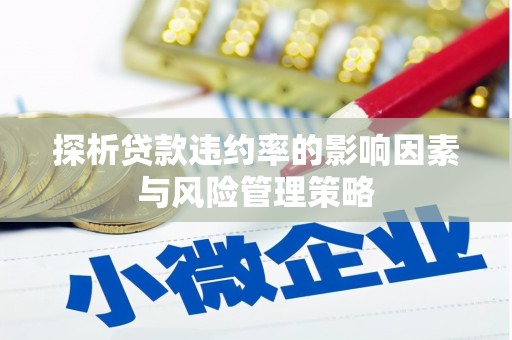 娄星探析贷款违约率的影响因素与风险管理策略