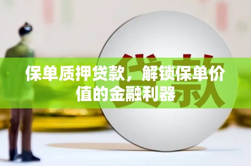 娄星保单质押贷款，解锁保单价值的金融利器