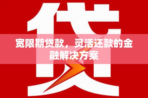 娄星宽限期贷款，灵活还款的金融解决方案