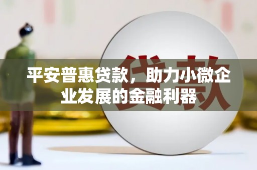 娄星平安普惠贷款，助力小微企业发展的金融利器