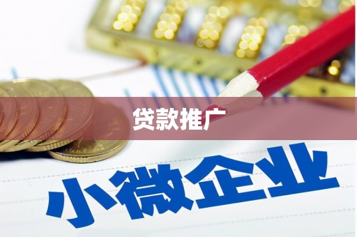 娄星贷款推广