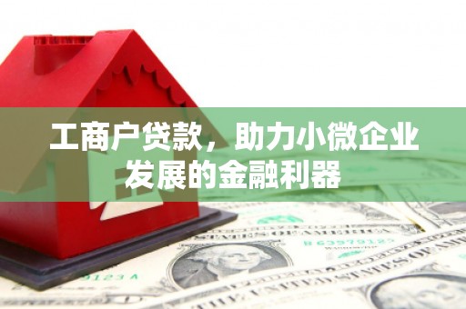 娄星工商户贷款，助力小微企业发展的金融利器