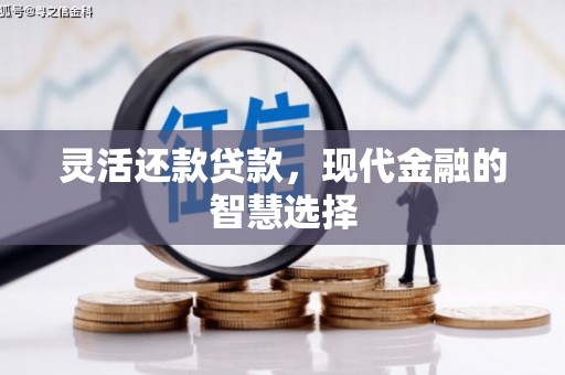娄星灵活还款贷款，现代金融的智慧选择
