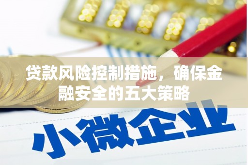 娄星贷款风险控制措施，确保金融安全的五大策略