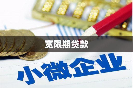 娄星宽限期贷款