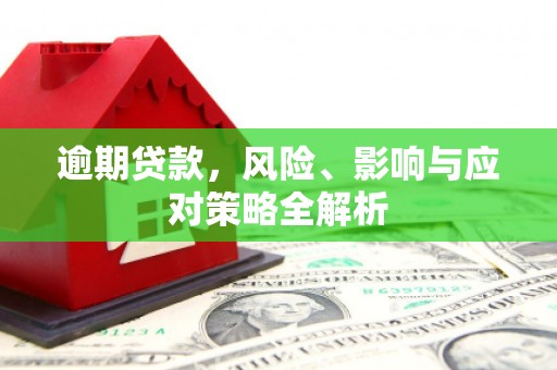 娄星逾期贷款，风险、影响与应对策略全解析