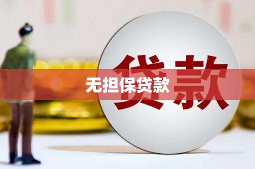娄星无担保贷款