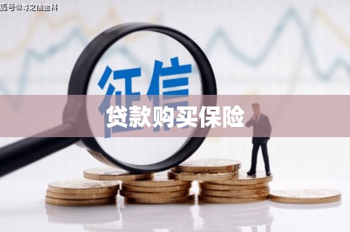 娄星贷款购买保险