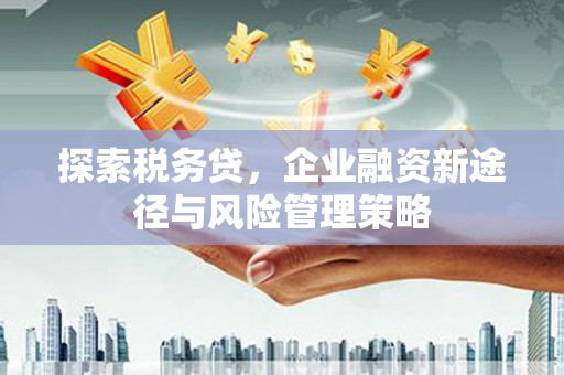 娄星探索税务贷，企业融资新途径与风险管理策略