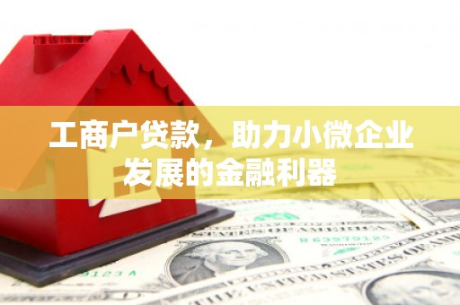娄星工商户贷款，助力小微企业发展的金融利器