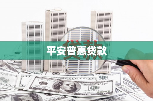 娄星平安普惠贷款