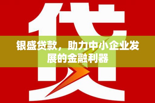 娄星银盛贷款，助力中小企业发展的金融利器