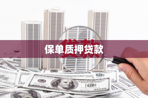 娄星保单质押贷款