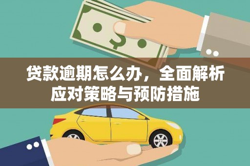 娄星贷款逾期怎么办，全面解析应对策略与预防措施