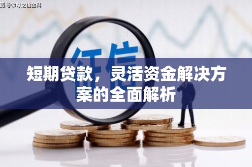 娄星短期贷款，灵活资金解决方案的全面解析
