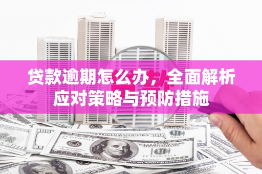 娄星贷款逾期怎么办，全面解析应对策略与预防措施