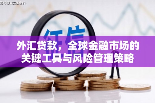 娄星外汇贷款，全球金融市场的关键工具与风险管理策略