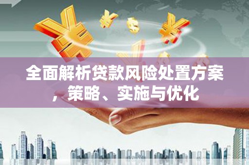 娄星全面解析贷款风险处置方案，策略、实施与优化