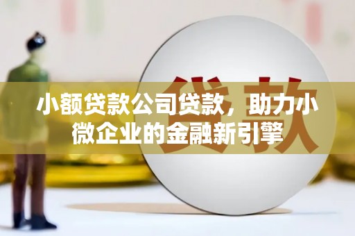 娄星小额贷款公司贷款，助力小微企业的金融新引擎