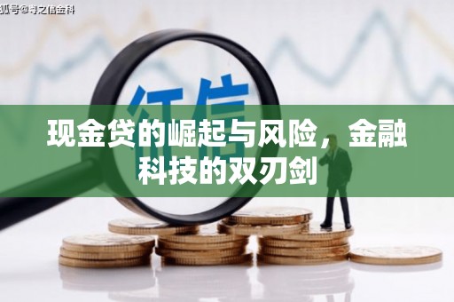 娄星现金贷的崛起与风险，金融科技的双刃剑