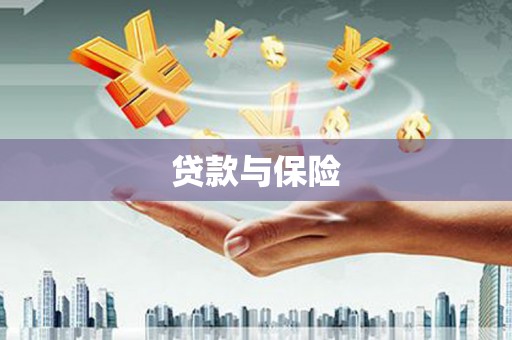 娄星贷款与保险