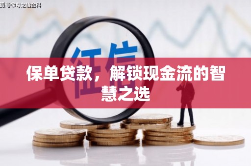 娄星保单贷款，解锁现金流的智慧之选