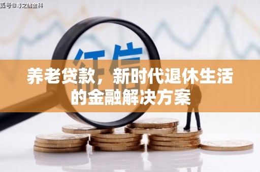 娄星养老贷款，新时代退休生活的金融解决方案