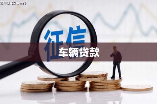 娄星车辆贷款