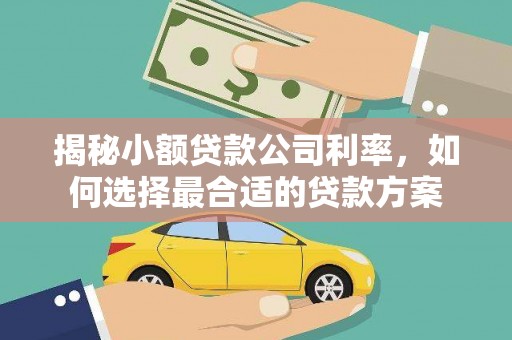 娄星揭秘小额贷款公司利率，如何选择最合适的贷款方案