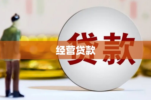 娄星经营贷款