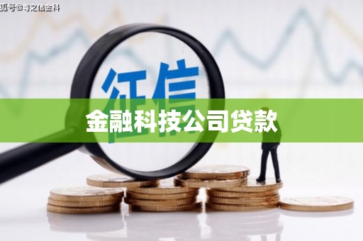 娄星金融科技公司贷款