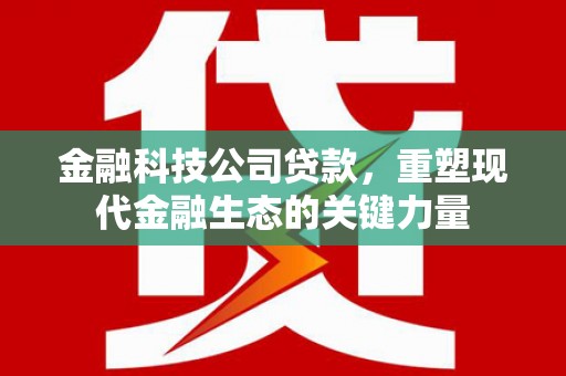 娄星金融科技公司贷款，重塑现代金融生态的关键力量