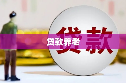 娄星贷款养老