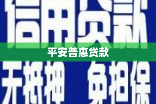 娄星平安普惠贷款