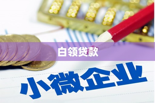 娄星白领贷款