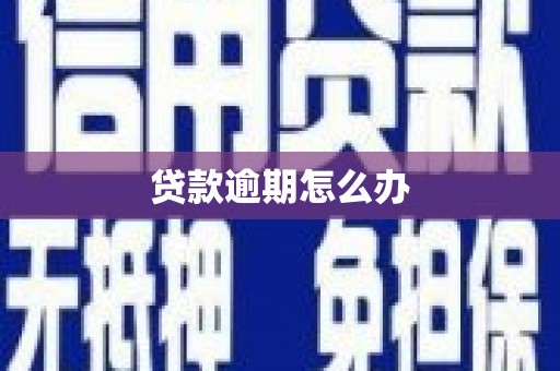 娄星贷款逾期怎么办