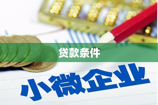娄星贷款条件